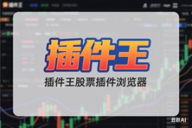 【插件王】专用股票插件浏览器
