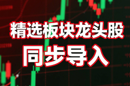 精选板块龙头股实时导入同步
