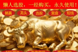 短线龙头复盘打板追踪热点龙头抓取竞价教程指标懒人选股神器